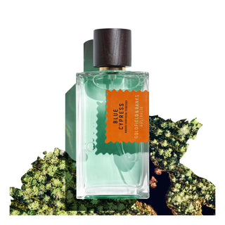 Blue Cypress 100ml - Aviva Parfumerie