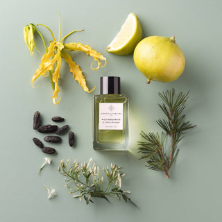 Nice Bergamote - Aviva Parfumerie