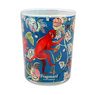 Fragonard Limited Edition Bois Dansant Candle 200g - Aviva Parfumerie
