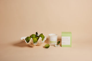 Jasmine & Lime 420g Standard Candle - Aviva Parfumerie