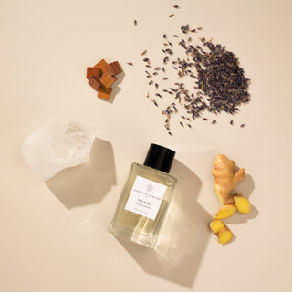 The Musc - Aviva Parfumerie